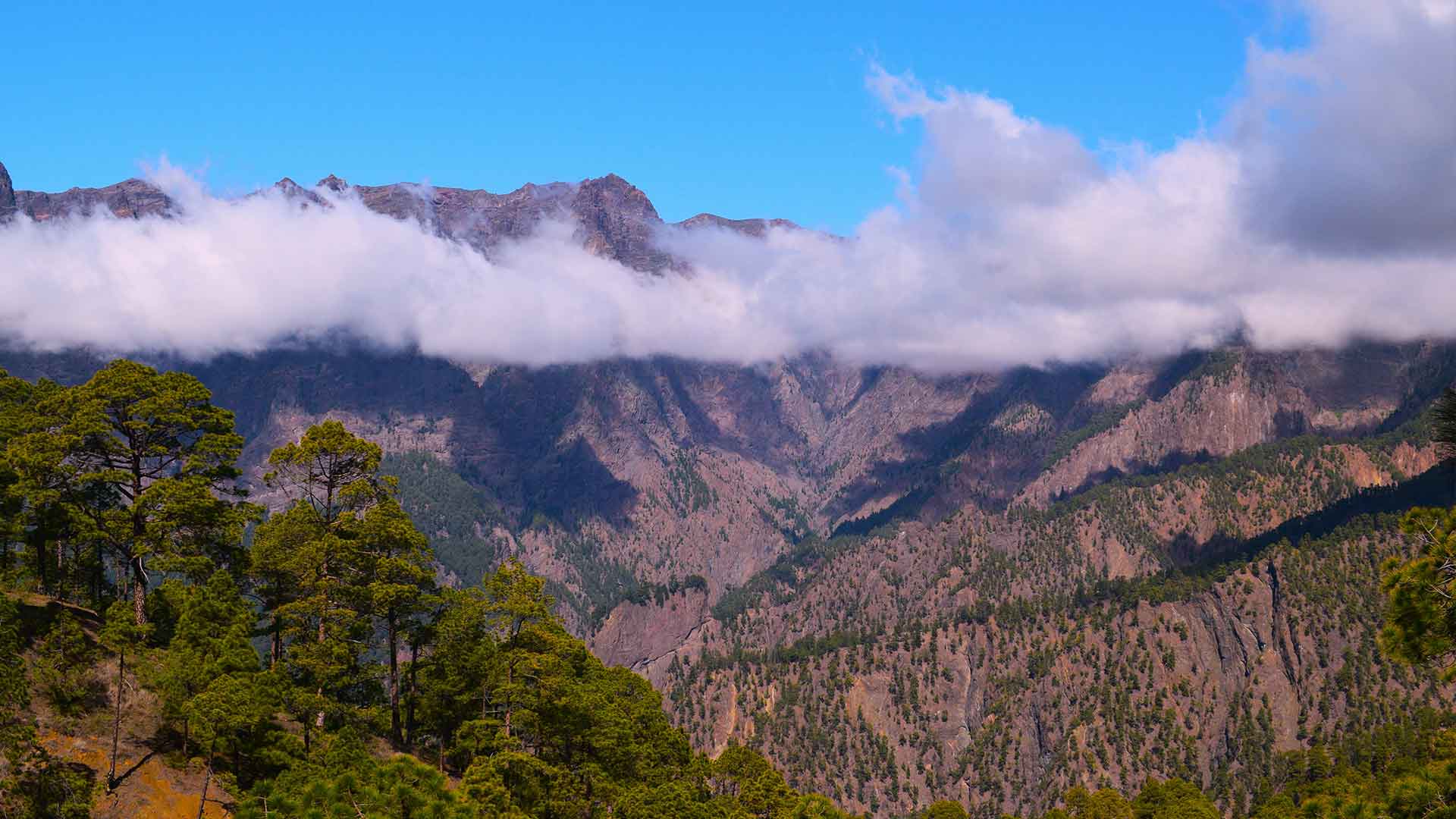 Senderismo La Palma-cumbresita Senderismo La Palma